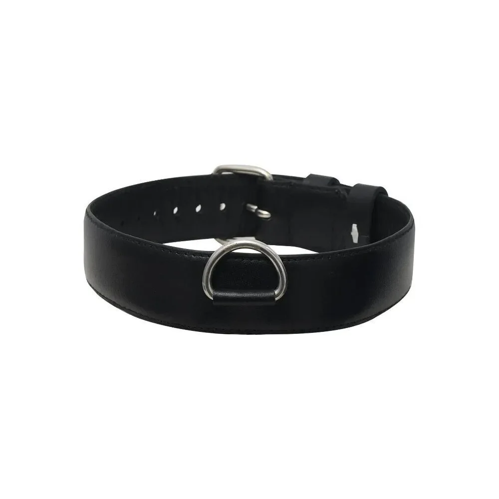 English Bridle Leather Safety Dog Collar